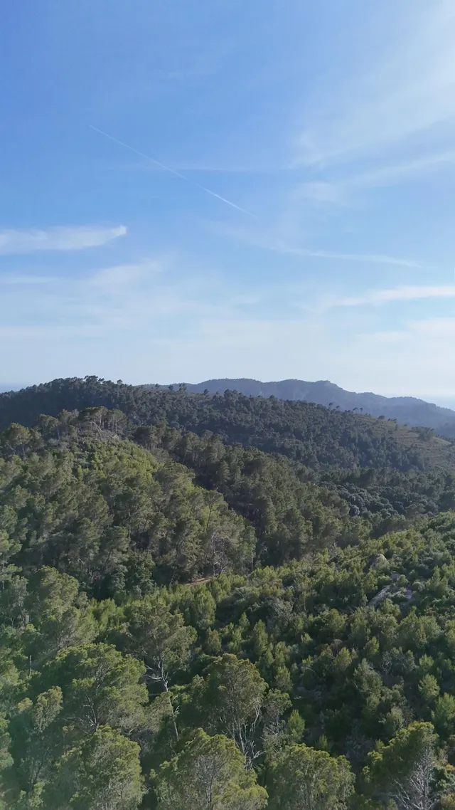 Terreno Rústico de 12.240 m2 en S’Arracó (Andratx) | Vistas al Mar, Cueva Natural y Pago Aplazado — 14