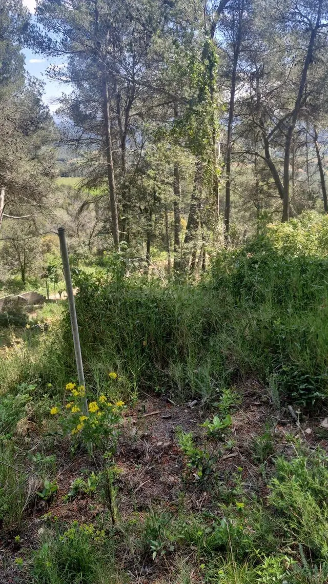 Terreno Urbano en Mediona - foto 4