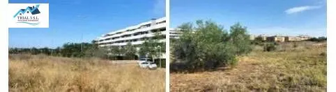 VENTA 3 SUELOS URBANIZABLES EN MAIRENA DEL ALJARAFE - SEVILLA — 2