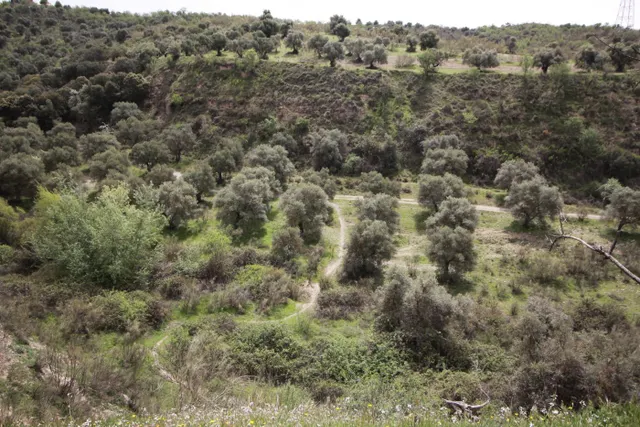 FINCA EN CORTIJO SAN JERÓNIMO (BARTODANO) — 6