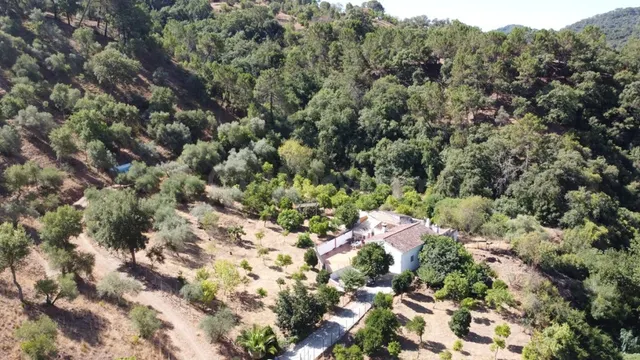 Casa de campo-Masía en Venta en Benastepal Málaga — 11