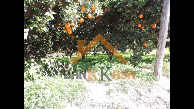 SE VENDE TERRERENO RURAL EN BERJA CON CORTIJO — 9