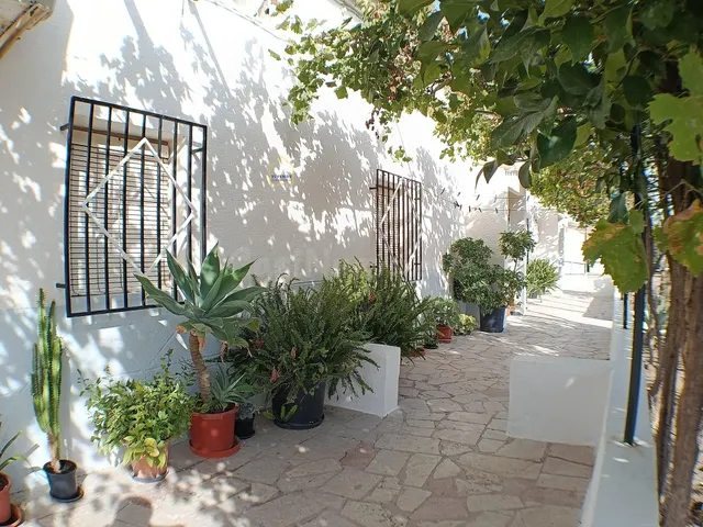 Casa con parcela y apartamento independiente a la venta en L - foto 5