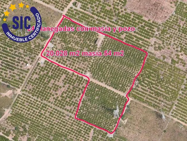 FINCAS RÚSTICA 24 HANEGADAS DE CLEMENTINA EN PRODUCCIÓN CON MASIA Y POZO MUY CERCA DE LA CIUDAD — 9