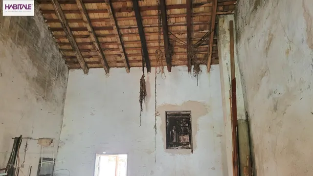 Solo para unos pocos — 19