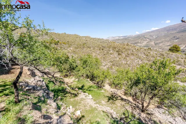 TERRENO EN PINOS DEL VALLE — 11