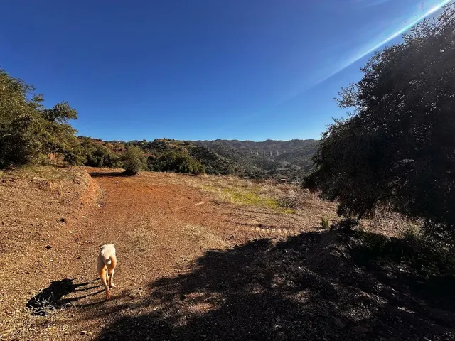 Parcela rural 5.000 m² en Fuengirola con vistas panorámicas y privacidad total — 10