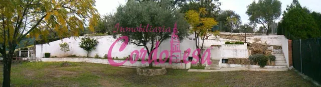 MAGNÍFICO TERRENO URBANO EN ALCOLEA — 9