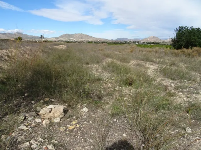 SE VENDE TERRENO EN LA ZONA DE LA HORNA EN ASPE - foto 3
