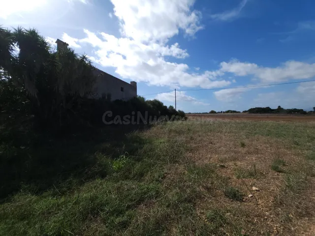 Finca rústica 1 habitación 188m² en venta - Muro - foto 4