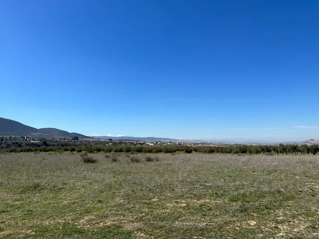 VENTA DE FINCA RUSTICA DE 6,5 HECTAREAS DE ALMENDROS Y ALGUNOS OLIVOS EN DILAR — 19