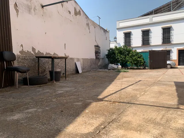 MAGNIFICO SOLAR EN CANTILLANA (SEVILLA) — 7