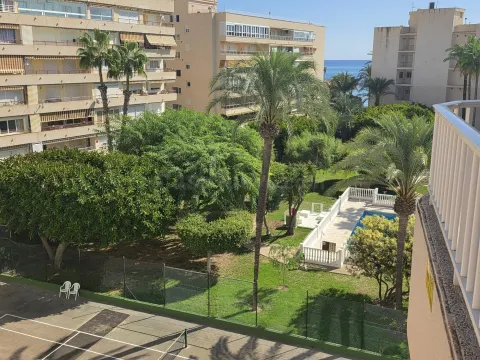 GRAN APARTAMENTO EN TORREVIEJA: 2 HAB, 1 BAÑO