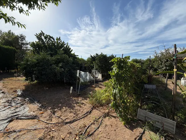AMPLIA PARCELA RÚSTICA CON CASITA Y ZONA DE HUERTO!! — 22