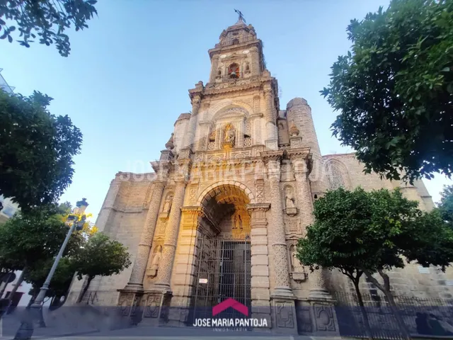 PARCELA EN BARRIO SAN MIGUEL