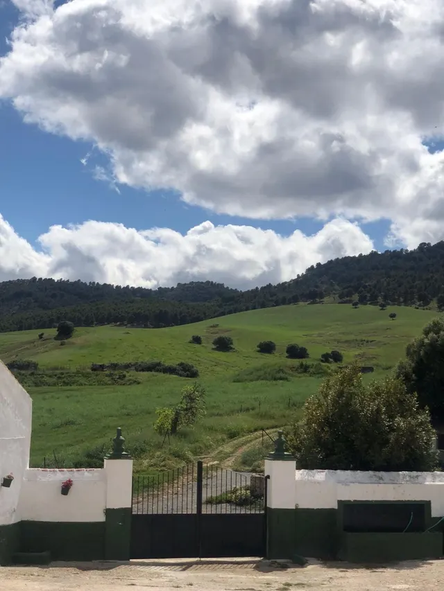 Impresionante finca edificable cerca de Málaga — 16