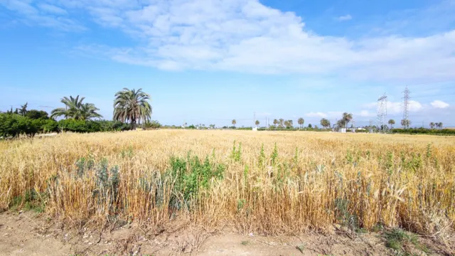 SE VENDE CASA DE CAMPO CON 42.000 M2 DE PARCELA. — 3
