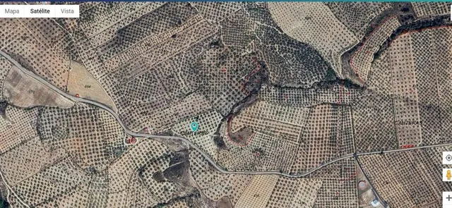Terreno agrario en venta, Deifontes. - foto 3