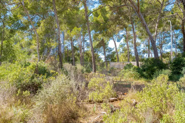 Solar edificable con proyecto en Cala Vinyes — 7
