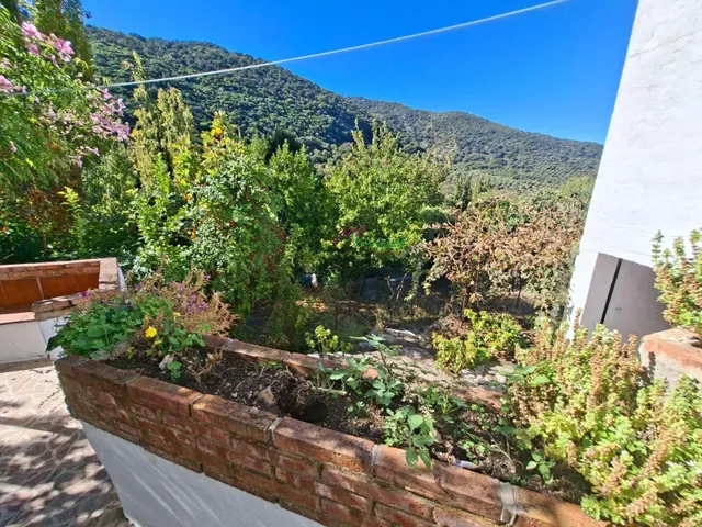 Venta casa estilo rústica con terreno.benamahoma. — 19