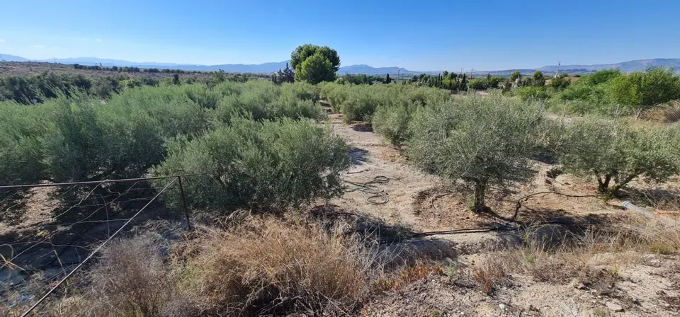++Terreno no urbano en Molina de Segura zona El romeral++, 1500 m