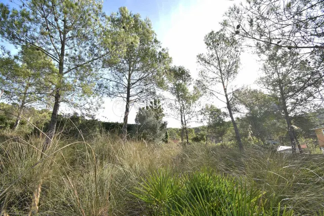 TERRENO CON BUENA ORIENTACIÓN Y VISTAS EN MAS MESTRE — 13