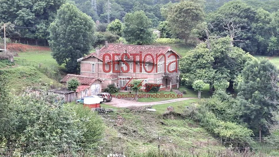 MAJESTUOSA CASA CON AMPLIA PARCELA. LIAÑO