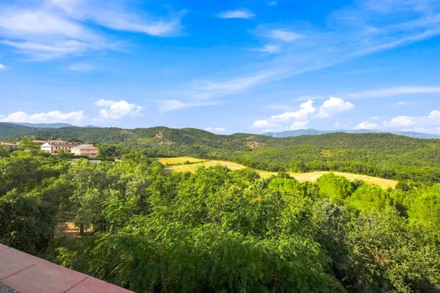 Finca Rustica en venta — 10