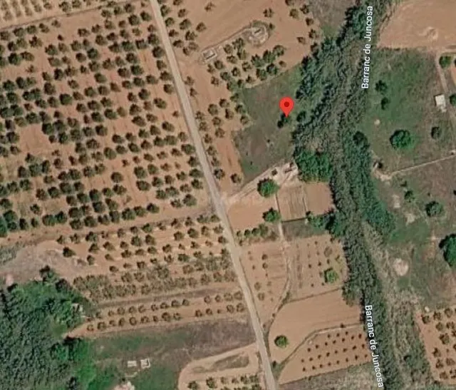 DOS FINCAS RUSTICAS EN VENTA UNA DE REGADIO Y OTRA DE SECANO - foto 2