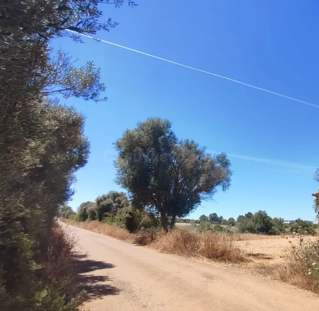✨ OPORTUNIDAD EN PLENA NATURALEZA – CAMÍ DE SON ROIG, A 3 KM