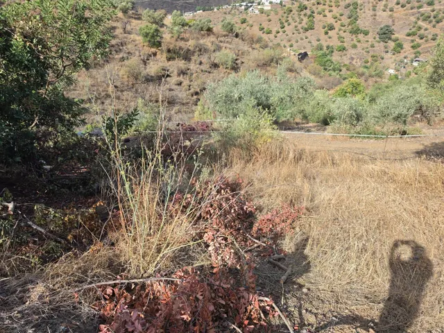 CASA CAMPO CON TERRENO DE 1 HECTAREA EN TOTALAN — 15