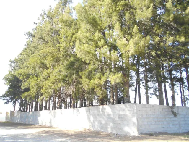 Finca rústica 140m² en venta - Oliva Nova
