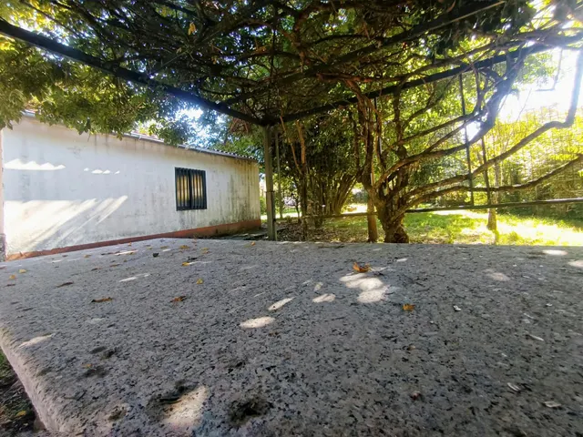 “Pequeña casa, gran encanto: un refugio rural con casi 900 m2 de finca en Esfarrapada” — 16