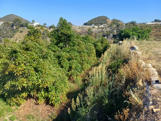 PARCELA DE TERRENO CON CASA CONSTRUIDA Y ARBOLES FRUTALES — 38
