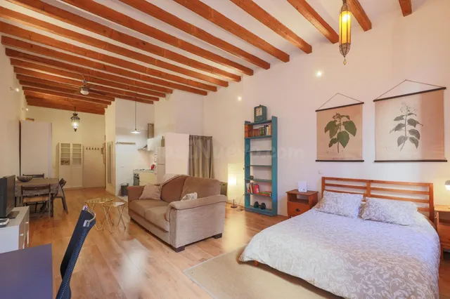 Fantastico loft con terraza Cerca del Palau de la Musica — 4