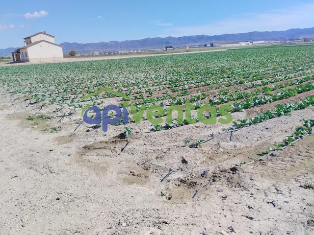 Parcela en Carretera de La Almenara (A 3,5 KM del CENTRO COMERCIAL) — 6