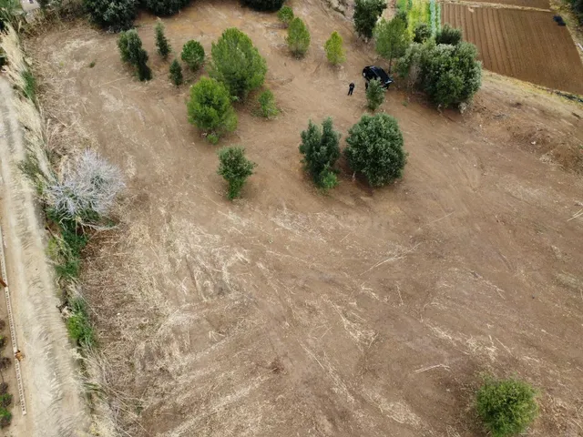 SE ALQUILA TERRENO AGRÍCOLA - foto 5