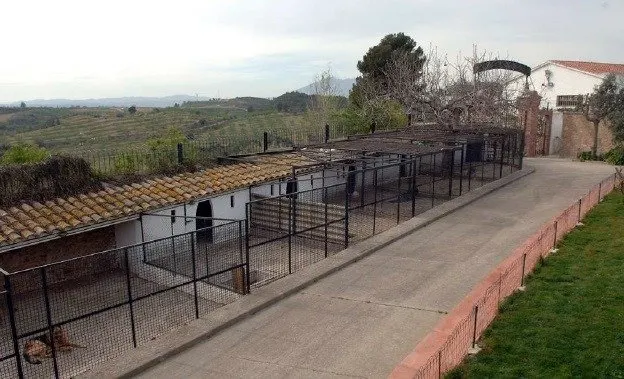 Masia de 150 hectáreas a 15 minutos de Barcelona — 40
