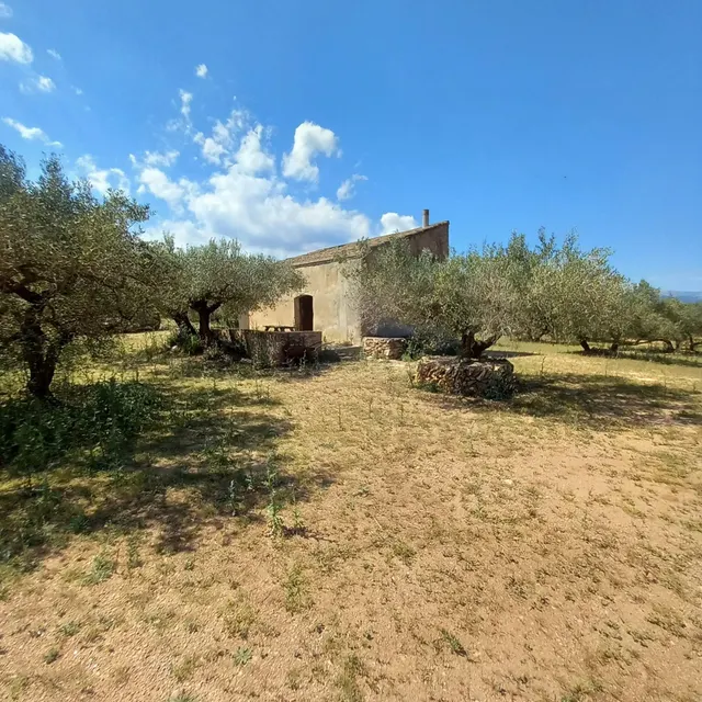 Casa de campo y olivar ecológico certificado. — 6