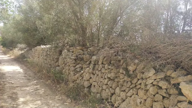 Terreno en venta en Algaida - foto 2