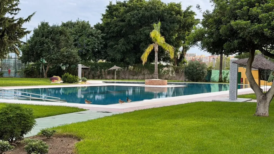 ESTUDIO EN VENTA EN LA COLINA, TORREMOLINOS ☀️ LICENCIA TURÍSTICA ACTIVA