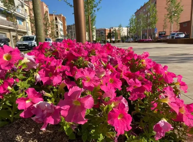 PLAZA DE APARCAMIENTO EN AVDA DR MASSANA — 10