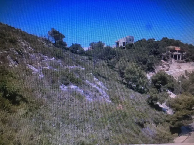 MUY BUENAS VISTAS AL MAR. 1 ó 2 PARCELAS. OPORTUNIDAD — 11