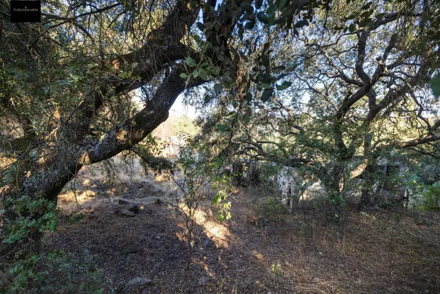 En uno de los pueblos más bonitos de España, finca ideal para rehabilitar y usar como alojamiento turístico — 16