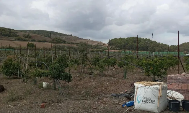 PARCELA EN PATERNA DE RIVERA — 2