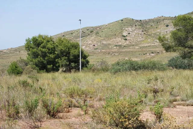 Terreno en Llano del Beal (Cartagena). - foto 3
