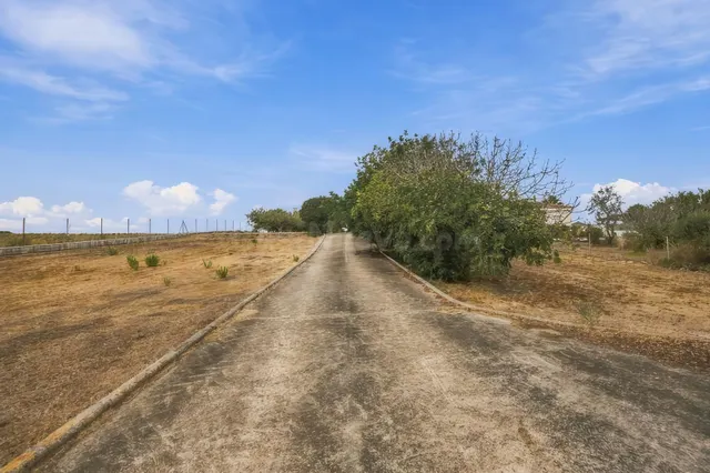 Tu refugio en el campo: tranquilidad, naturaleza y espacio p - foto 3