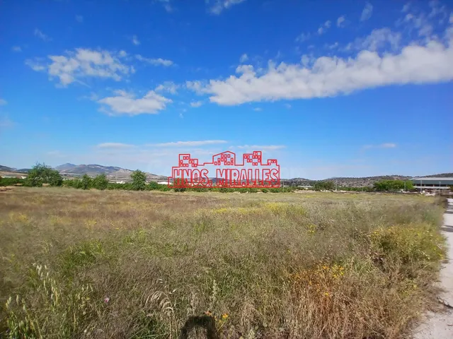 ¡¡ PRECIOSA PARCELA 1979 m2 EN LA ALGUEÑA !! - foto 3