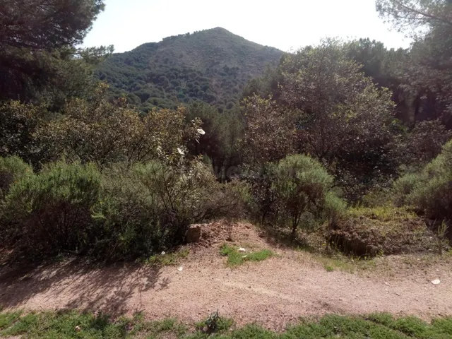 PARCELA URBANIZACIÓN JARAS - foto 5