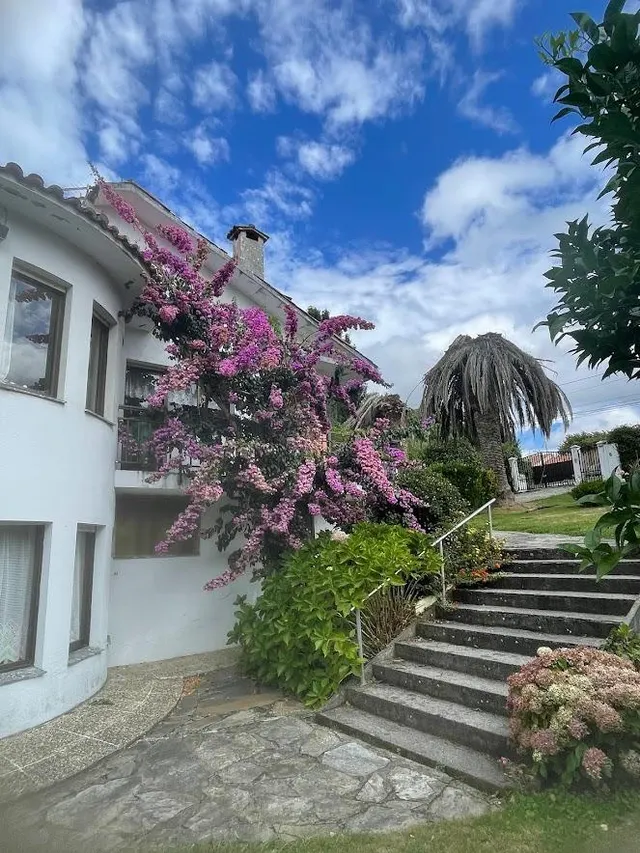 San Isidro. Finca 5.600M con Vivienda familiar — 9